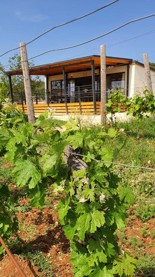 Collis Winery - Family & Friends - Mobilhome Rovinj Eksteriør billede
