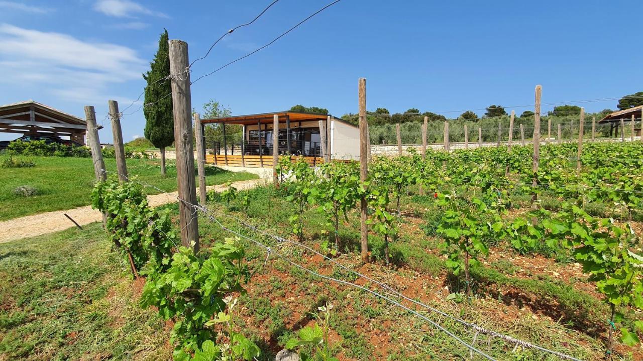 Collis Winery - Family & Friends - Mobilhome Rovinj Eksteriør billede